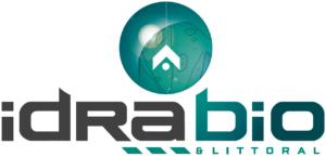 Capture d’écran 2025-11-19 184458